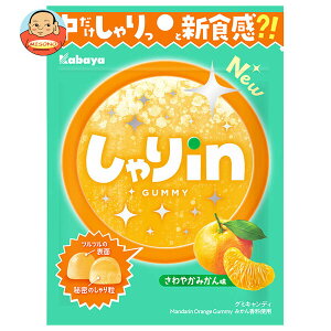 Jo inO~ ݂ 52g×10ܓ×(2P[X)b  َq O~  IW ݂