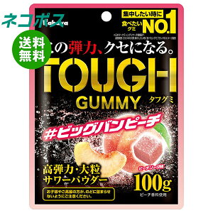 lR|X Jo ^tO~ rbOos[` 100g×6ܓb S َq O~  TOUGH e͑嗱T[ 