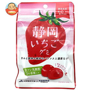 カネカ食品 静岡いちごグミ ラブレ乳酸菌入 40g×10袋入| 送料無料 お菓子 グミ 果汁 ジュレ ラブレ乳酸菌 ラブレ 乳酸菌 チャック付き 腸内環境 苺 いちご