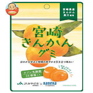 JlJHi {肫񂩂O~ u_ۓ 40g×10ܓb  َq O~ ʏ` W u_ u _ `bNt   LJ