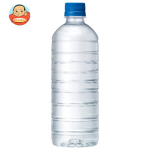 L RVR xX 600mlybg{g×24{b  VR   eco