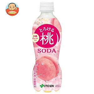 ɓ Ƃ낯铍\[_ 450mlybg{g×24{×(2P[X)b  s[` \[_ PET