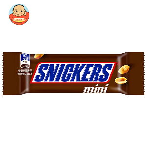 }[XWp XjbJ[Y ~j 1{×24b  َq `R o[^Cv SNICKERS mini