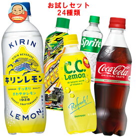【福袋】 色々な炭酸飲料飲んでみませんか?セット24種類 コカコーラ スプライト ペプシ ライフガードなど 410ml～600mlペットボトル×24本入｜ 送料無料 コーラ キリン サントリー アサヒ ポッカサッポロ 不二家 500ml ウィルキンソン レモン ラベルレス 炭酸水 ペプシ ゼロ