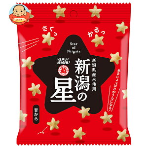 z㐻 V̐ Â 40g×10ܓb  َq ĉ  Y ׂ 