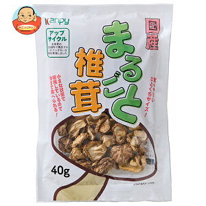 Js[ Y ܂邲ƒő 40g×20ܓ×(2P[X)b  ʐHi  