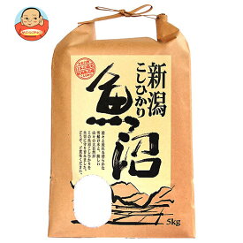 千亀利 【令和7年産】魚沼産こしひかり 5kg×1袋入｜ 送料無料 米 お米 国産 精米 こしひかり ごはん ご飯