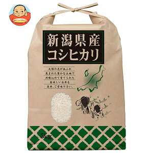 T yߘa7NYzVYЂ 5kg×1ܓb    Y  Ђ ͂ 