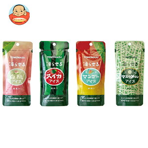 �F������ �ʎ��A�C�X �������A�\�[�g�Z�b�g48�{�Z�b�g(�X�C�J�A�����A�}���S�[�A�}�X�N�������e12�{) (80g�p�E�`×48�{)×1�����b �������� �W���[�X ������ �� �}���S�[ ������ ���� �A�C�X