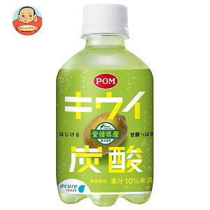 JR�����{ �A�L���A���C�h �L�E�C �Y�_ 280ml�y�b�g�{�g��×24�{���b �������� �L�E�C �Y�_ PET �ʏ` �W���[�X �t���[�c