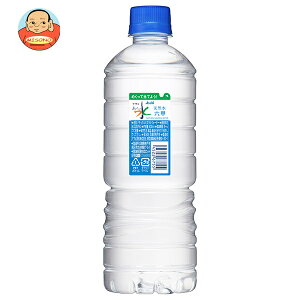 �y�ܖ�����2026.08������ȍ~�z�A�T�q���� ���������� �V�R�� �V���v��eco���x�� 600ml�y�b�g�{�g��×24�{���b �������� �~�l�����E�H�[�^�[ �V�R�� ���Y ���Y�� � ��