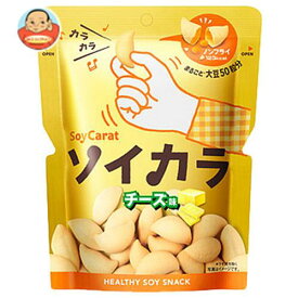 大塚製薬 ソイカラ（SoyCarat） チーズ味 27g×18袋入｜ 送料無料 お菓子 大豆 食物繊維 イソフラボン