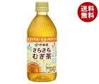 送料無料 伊藤園 さらさらむぎ茶【機能性表示食品】 500mlペットボトル×24本入 ※北海道・沖縄・離島は別途送料が必要。