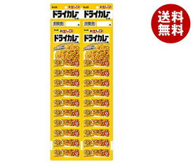 楽天市場 Sb ドライカレーの通販