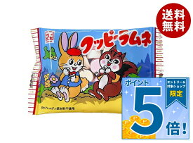 カクダイ製菓 クッピーラムネ 11g×60(30×2)袋入×(2ケース)｜ 送料無料 お菓子 ラムネ 駄菓子