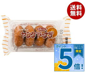 [ポイント5倍！10/17(土)9時59分まで全品対象エントリー&購入]宮田製菓 ヤングドーナツ 4個×20袋入｜ 送料無料 お菓子 ドーナツ おやつ おかし