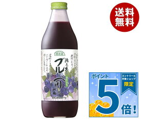 [ポイント5倍！9/11(金)1時59分まで全品対象エントリー&購入]マルカイ 順造選 活き生きブルーベリー(50%) 1000ml瓶×12(6×2)本入｜ 送料無料 ブルーベリージュース ブルーベリー フルーツ 果実