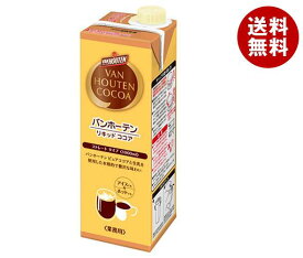 片岡物産 バンホーテン リキッド ココア 1000ml紙パック×6本入×(2ケース)｜ 送料無料 ココア リキッドココア 紙パック 1L 1l