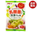 コーセーフーズ 乳酸菌入り 浅漬けの素 60g×10袋入｜ 送料無料 調味料 一般食品 漬物 素 乳酸菌
