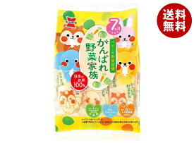 岩塚製菓 がんばれ!野菜家族 51g×6袋入｜ 送料無料 お菓子 袋 ベビー 7ヶ月頃から