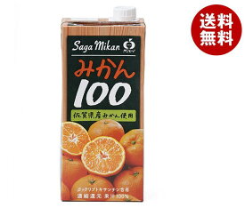 JAビバレッジ佐賀 みかん100 1L紙パック×6本入×(2ケース)｜ 送料無料 果汁 みかん オレンジジュース 100% 温州みかん