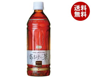 Jl 邯 500mlybg{g×24{b  y |tFm[ fAfm[AEB L@JASKi