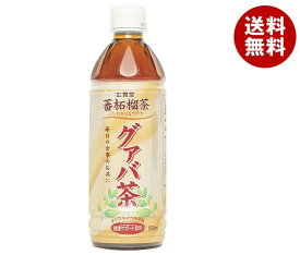 廣貫堂 グァバ茶 500mlペットボトル×24本入×(2ケース)｜ 送料無料 茶飲料 健康茶 PET お茶 ビタミンC