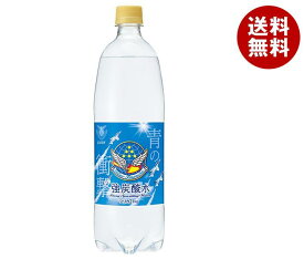 チェリオ 強炭酸水 1000mlペットボトル×15本入｜ 送料無料 強炭酸 炭酸水 1l 1L 炭酸 割り材 シリカ