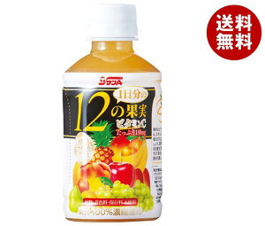 サンA 1日分の12の果実 240mlペットボトル×24本入| 送料無料 果実飲料 ミックス PET フルーツ