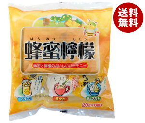 ܂ƖI IEG 20g×6×10ܓ×(2P[X)b  nDi CX^g Vbv ݂͂ ߃|[V^Cv