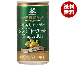 富永貿易 神戸居留地 国産しょうがのジンジャーエール 185ml缶×20本入｜ 送料無料 炭酸 生姜 割り材 缶