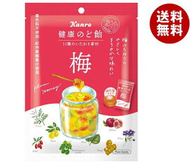 カンロ 健康のど飴 梅 90g×6袋入×(2ケース)｜ 送料無料 お菓子 あめ キャンディ のど飴 袋 うめ ウメ