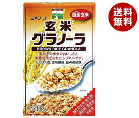 三育フーズ 玄米グラノーラ 320g×12個入×(2ケース)｜ 送料無料 玄米 グラノーラ 朝食 シリアル 食品