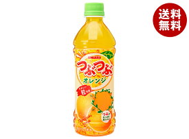 サンガリア つぶつぶオレンジ 500mlペットボトル×24本入×(2ケース)｜ 送料無料 オレンジジュース オレンジ 果汁 果肉 みかん