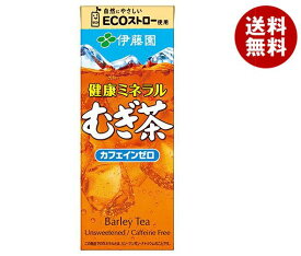 伊藤園 健康ミネラルむぎ茶 250ml紙パック×24本入×(2ケース)｜ 送料無料 伊藤園 麦茶 茶 ミネラル麦茶 お茶