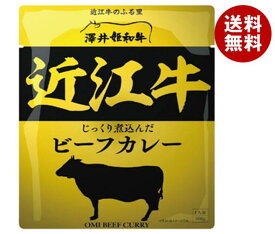 響 近江牛ビーフカレー 160g×30袋入×(2ケース)｜ 送料無料 一般食品 レトルトカレー