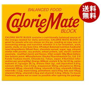 大塚製薬 カロリーメイト ブロック チョコレート味 1箱（4本入）×30本入｜ 送料無料 栄養補給 携帯 カロリーコントロール