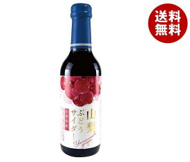 木村飲料 山梨ぶどうサイダー 240ml瓶×20本入×(2ケース)｜ 送料無料 炭酸飲料 サイダー ビン グレープ 果汁 果実