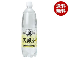 友桝飲料 強炭酸水レモン 1Lペットボトル×15本入×(2ケース)｜ 送料無料 炭酸飲料 炭酸水 ソーダ PET 割り材 レモン 1000ml 1l