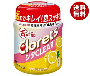 クロレッツ シタクリアの人気商品・通販・価格比較 - 価格.com