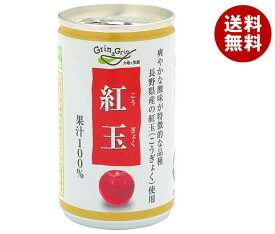 長野興農 信州 紅玉 りんごジュース 160g缶×30本入｜ 送料無料 果実飲料 フルーツ アップル りんご リンゴ