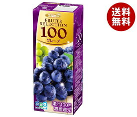 エルビー フルーツセレクション グレープ100% 200ml紙パック×24本入｜ 送料無料 果実飲料 ジュース ぶどう ブドウ