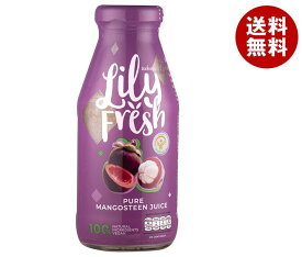 ユウキ食品 マンゴスチンジュース 250ml瓶×12本入｜ 送料無料 マンゴスチン ジュース 果実
