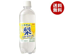 サンガリア 伊賀の天然水 梨スパークリング 500mlペットボトル×24本入｜ 送料無料 梨 フルーツ 炭酸 炭酸水