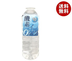 奥長良川名水 酸素イン 500mlペットボトル×24本入×(2ケース)｜ 送料無料 天然水 ミネラルウォーター 500ml 水 酸素水