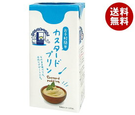 九州乳業 パックデザート カスタードプリン 1050ml紙パック×6本入×(2ケース)｜ 送料無料 紙パック プリン カスタード