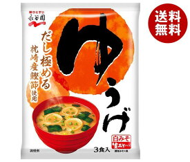 永谷園 生みそタイプみそ汁ゆうげ 54.3g(3食)×10袋入×(2ケース)｜ 送料無料 一般食品 インスタント食品 味噌汁 袋