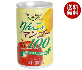 長野興農 りんご＆マンゴー 160g缶×30本入×(2ケース)｜ 送料無料 果実飲料 果汁100% アップル ミックス