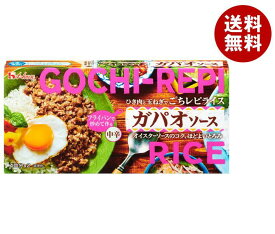 ハウス食品 ごちレピ ライス ガパオソース 140g×10個入｜ 送料無料 調味料 ルウ ガパオライス 中辛