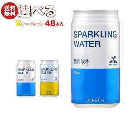 富永貿易 神戸居留地 ソーダ 選べる2ケースセット 350ml缶×48(24×2)本入｜ 送料無料 炭酸水 炭酸 プレーン レモン 割り材